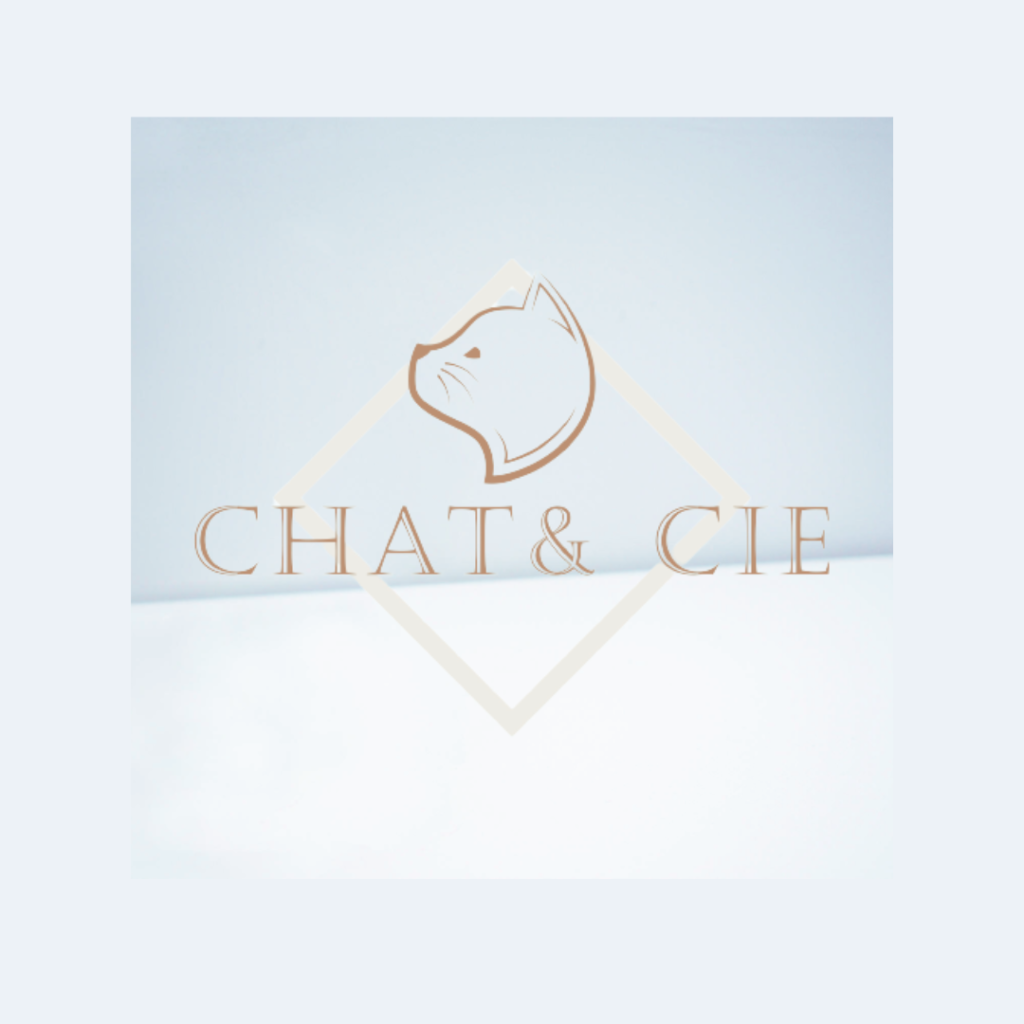 logo de boutique pour accessoire chat