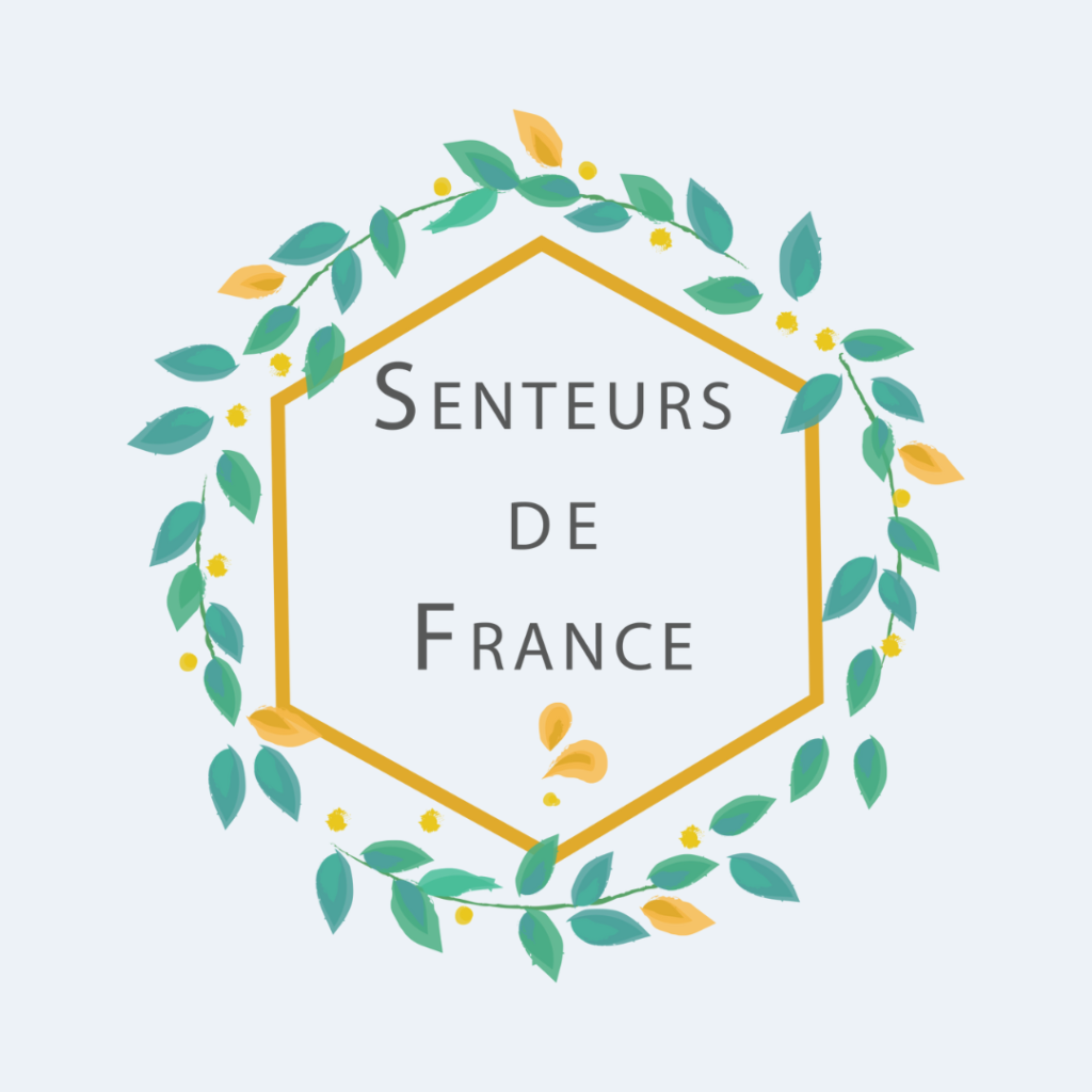 logo de boutique idée cadeaux